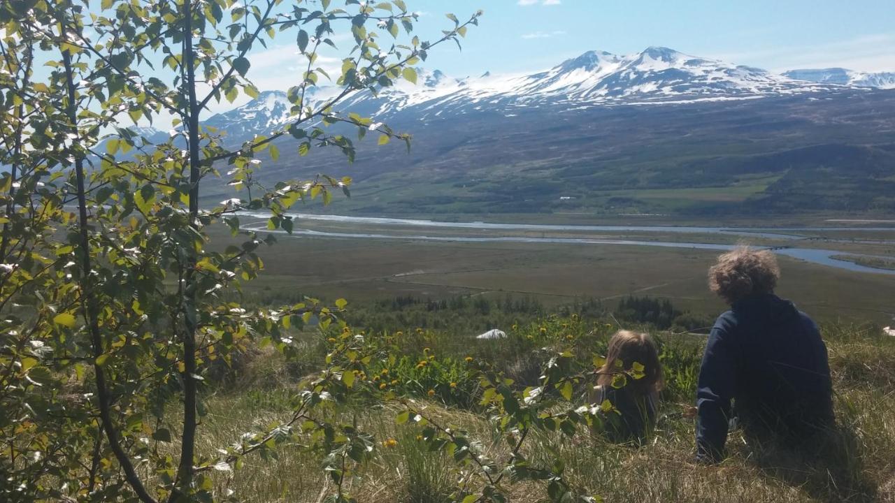 Iceland Yurt Akureyri Exteriér fotografie