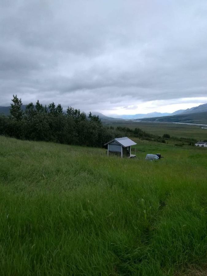 Iceland Yurt Akureyri Exteriér fotografie
